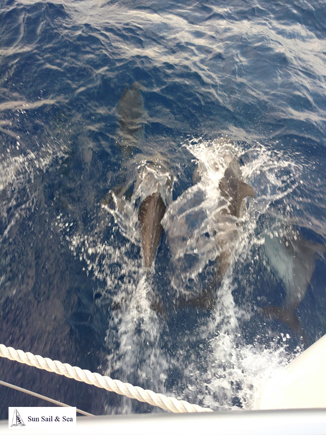 Alquilar Catamaran en Ibiza